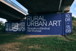 Kunstnik Laura Lehtinen festivalil Rural Urban Art Kunstnik Laura Lehtinen festivalil Rural Urban Art