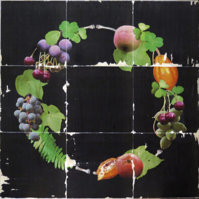 Mariliina Valkama näitus „Köögiviljaaed” Mariliina Valkama näitus „Köögiviljaaed”